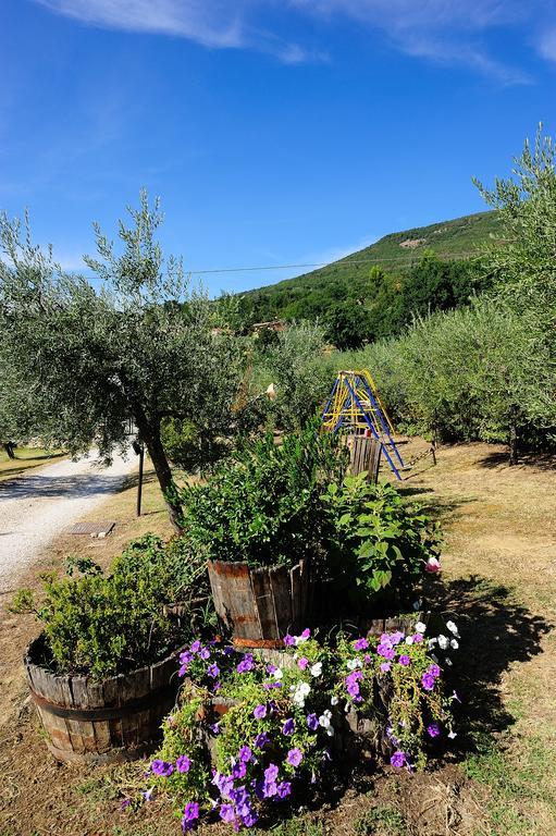 Colle Degli Olivi Snc Casa de hóspedes Assisi Exterior foto