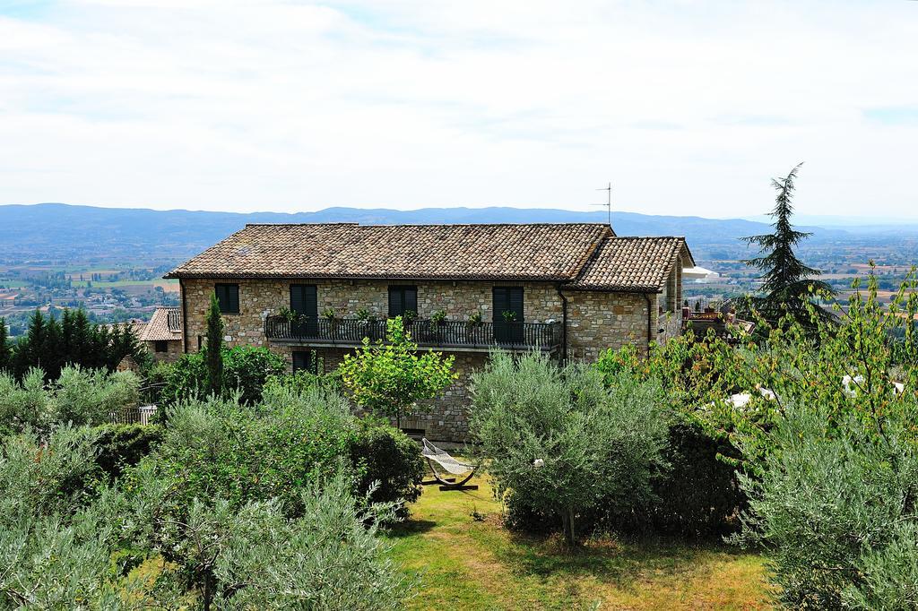 Colle Degli Olivi Snc Casa de hóspedes Assisi Exterior foto